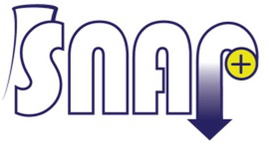 Simulating Neutrons Using Accelerated Ions